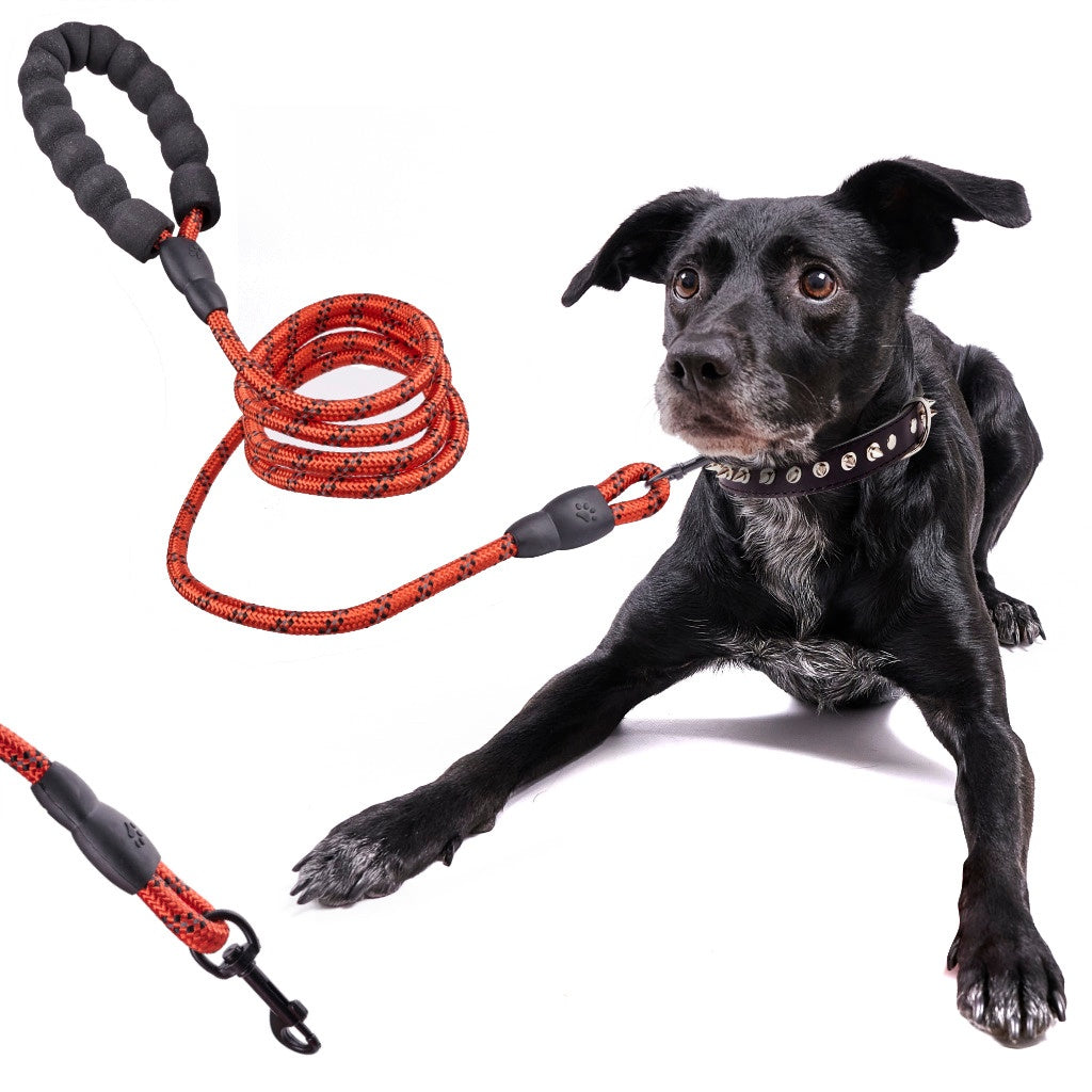 Dog leash on rope durable reflective 2m