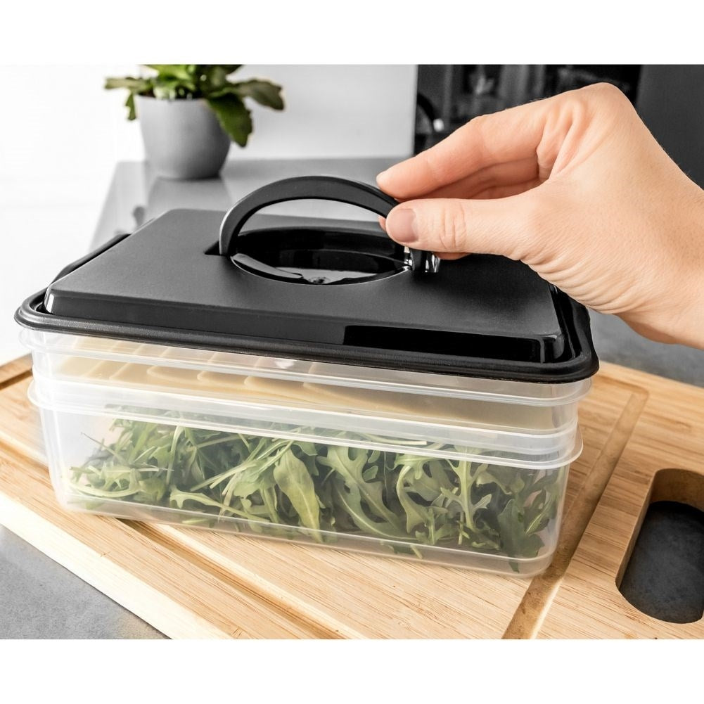 Double-decker Lunch Box - For Meat, Cheese, Vegetables