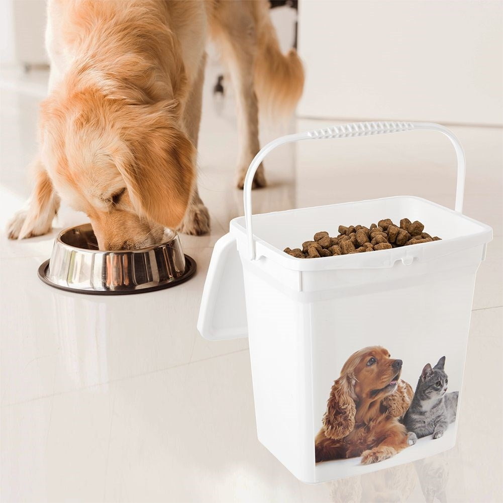 Dry food container with tight lid and handle for pets