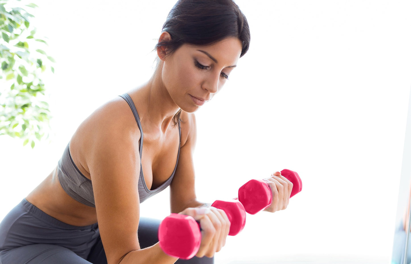 Dumbbells Set of 2 for Home Gym Exercise 2x0,5kg