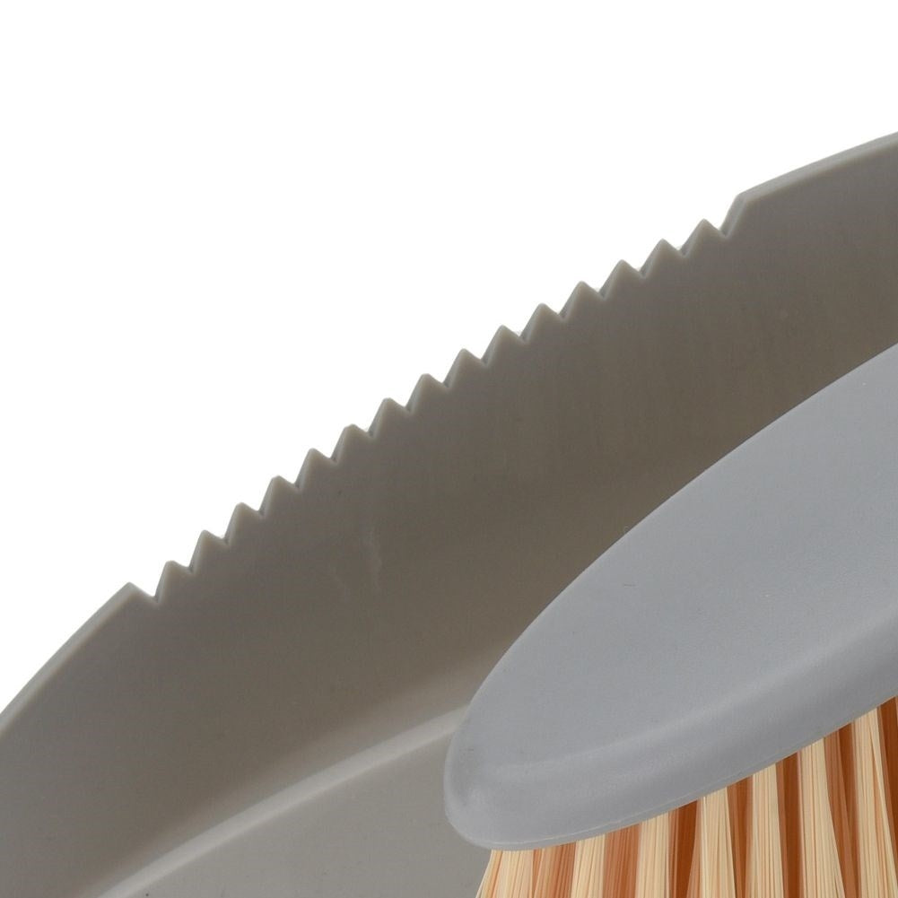 Dust brush with Shovel for All Surfaces