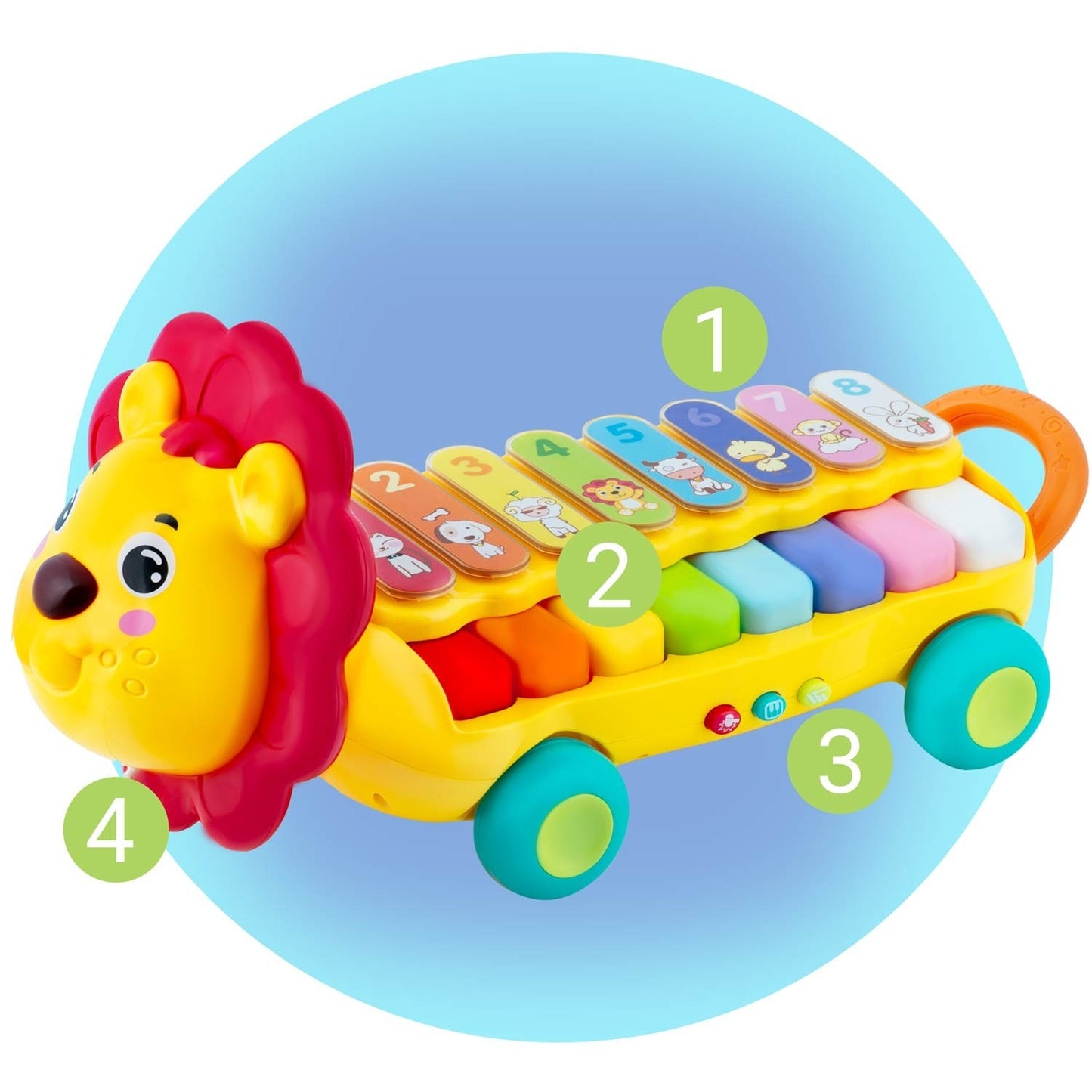 Educational toy - Xylophone Lion RK-740 Ricokids