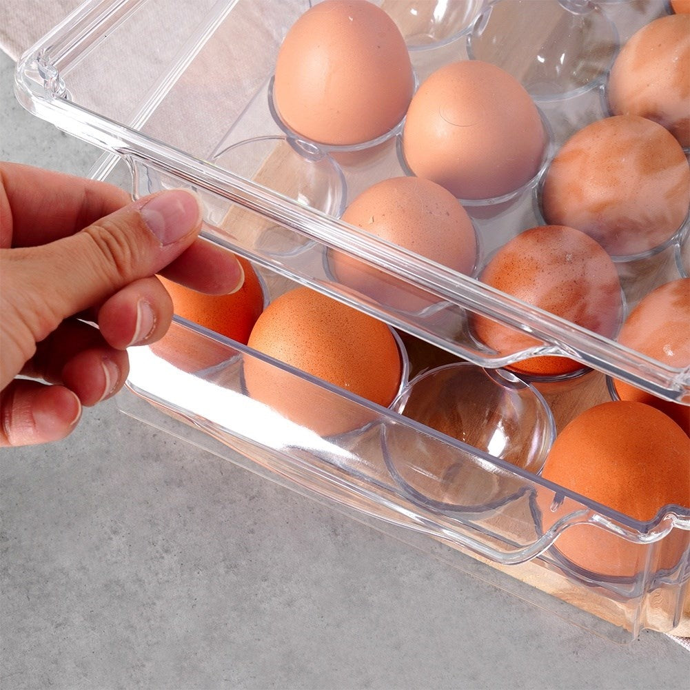 Egg Storage with Lid - Holds 24 Eggs