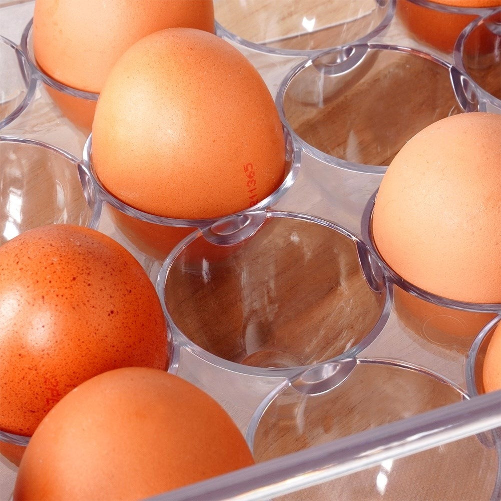 Egg Storage with Lid - Holds 24 Eggs