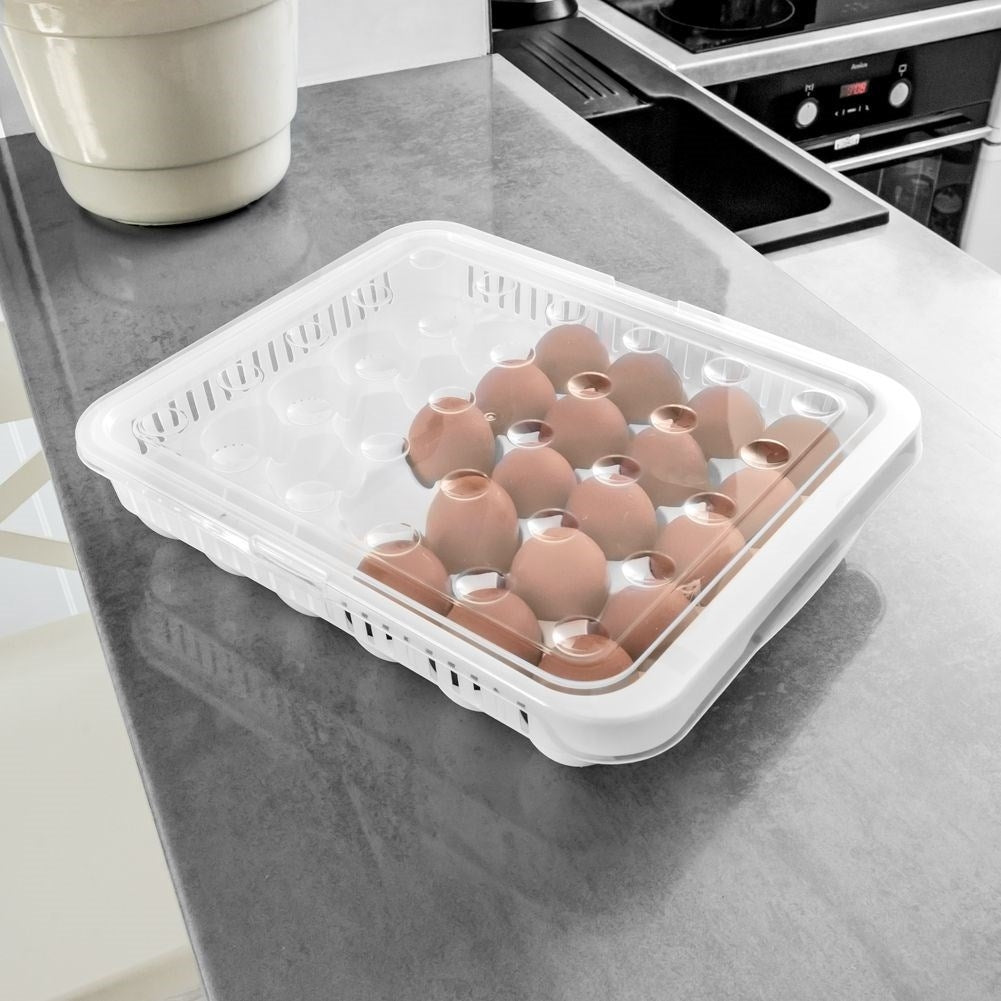Egg storage: Light, durable and holds 30 eggs