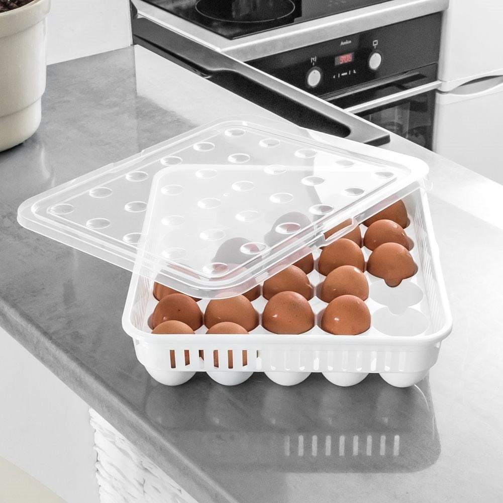 Egg storage: Light, durable and holds 30 eggs