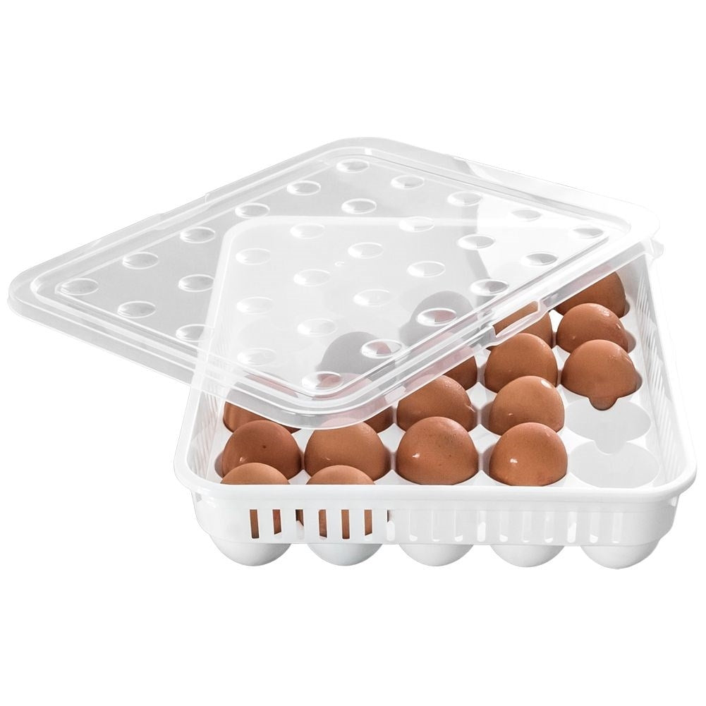 Egg storage: Light, durable and holds 30 eggs