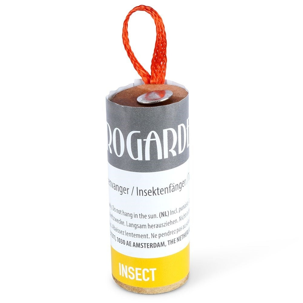 Eight fly traps with adhesive tape for effective insect control