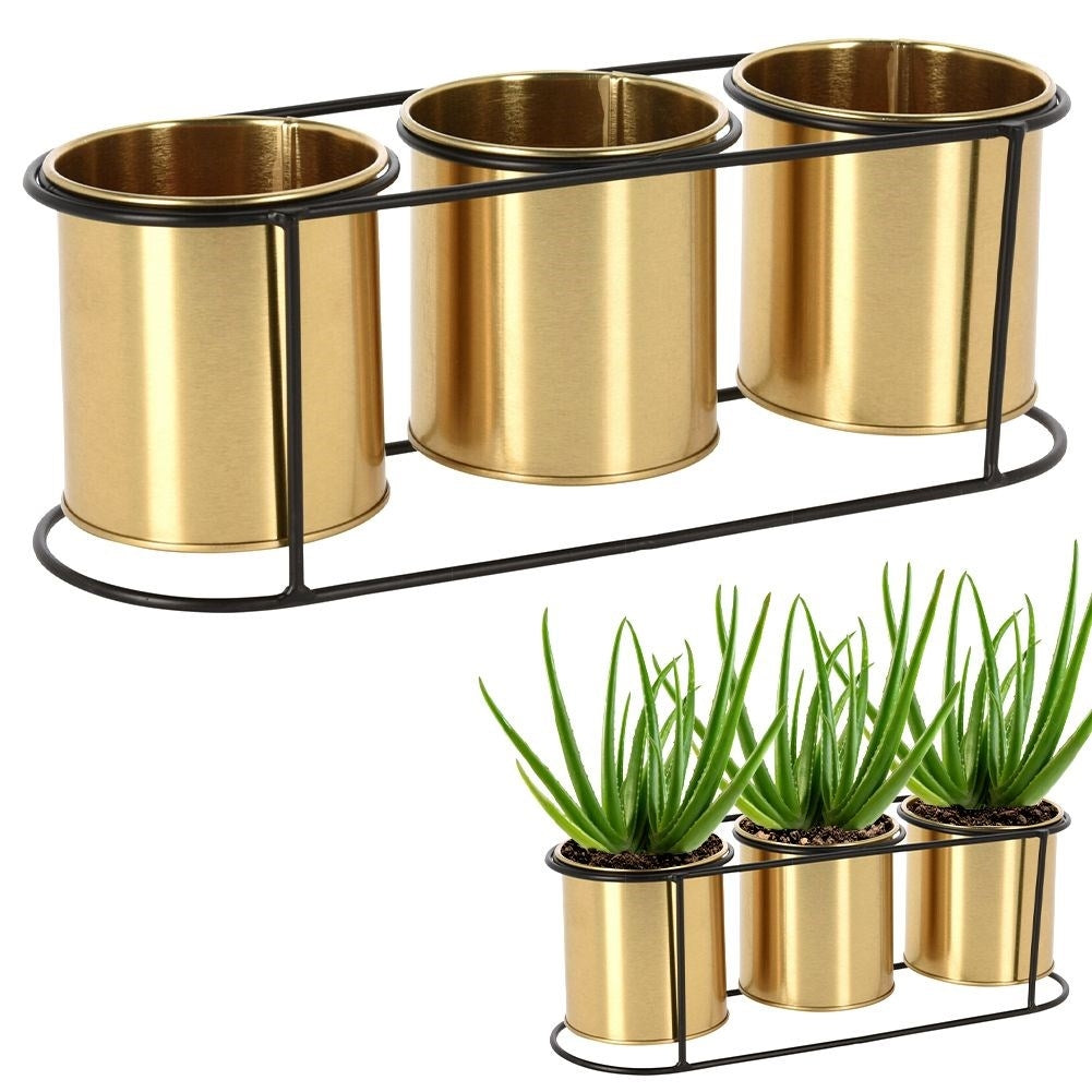 Elegant Flower Stand for Three Plants in Black and Gold