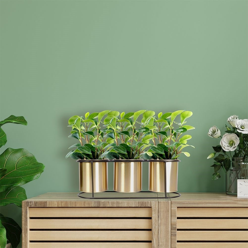 Elegant Flower Stand for Three Plants in Black and Gold