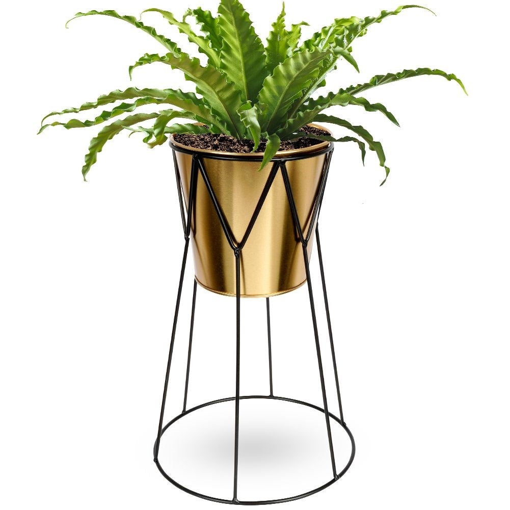 Elegant Flowerpot with Stand in Black and Gold