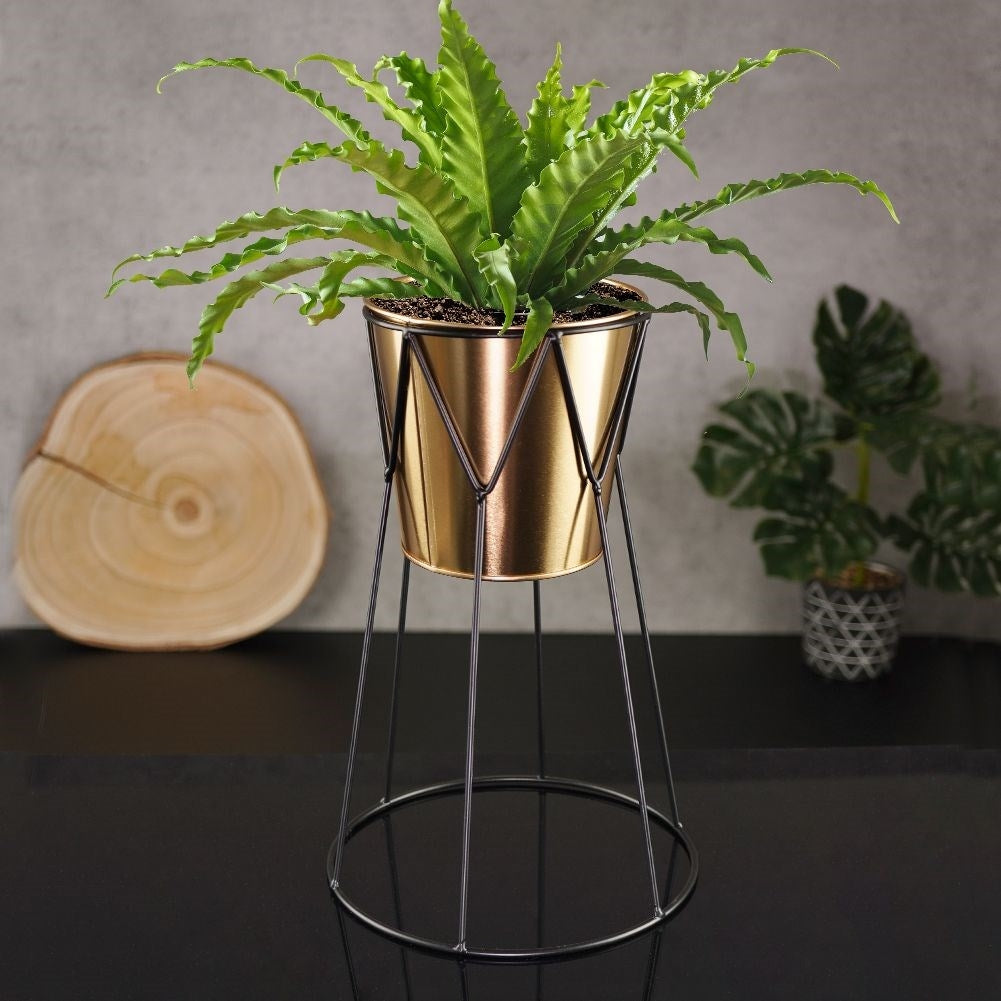 Elegant Flowerpot with Stand in Black and Gold