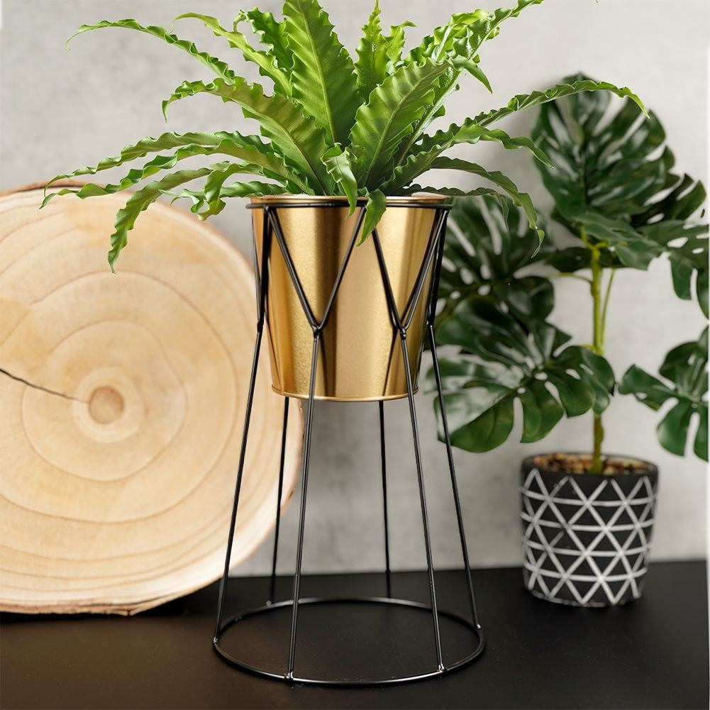 Elegant Flowerpot with Stand in Black and Gold