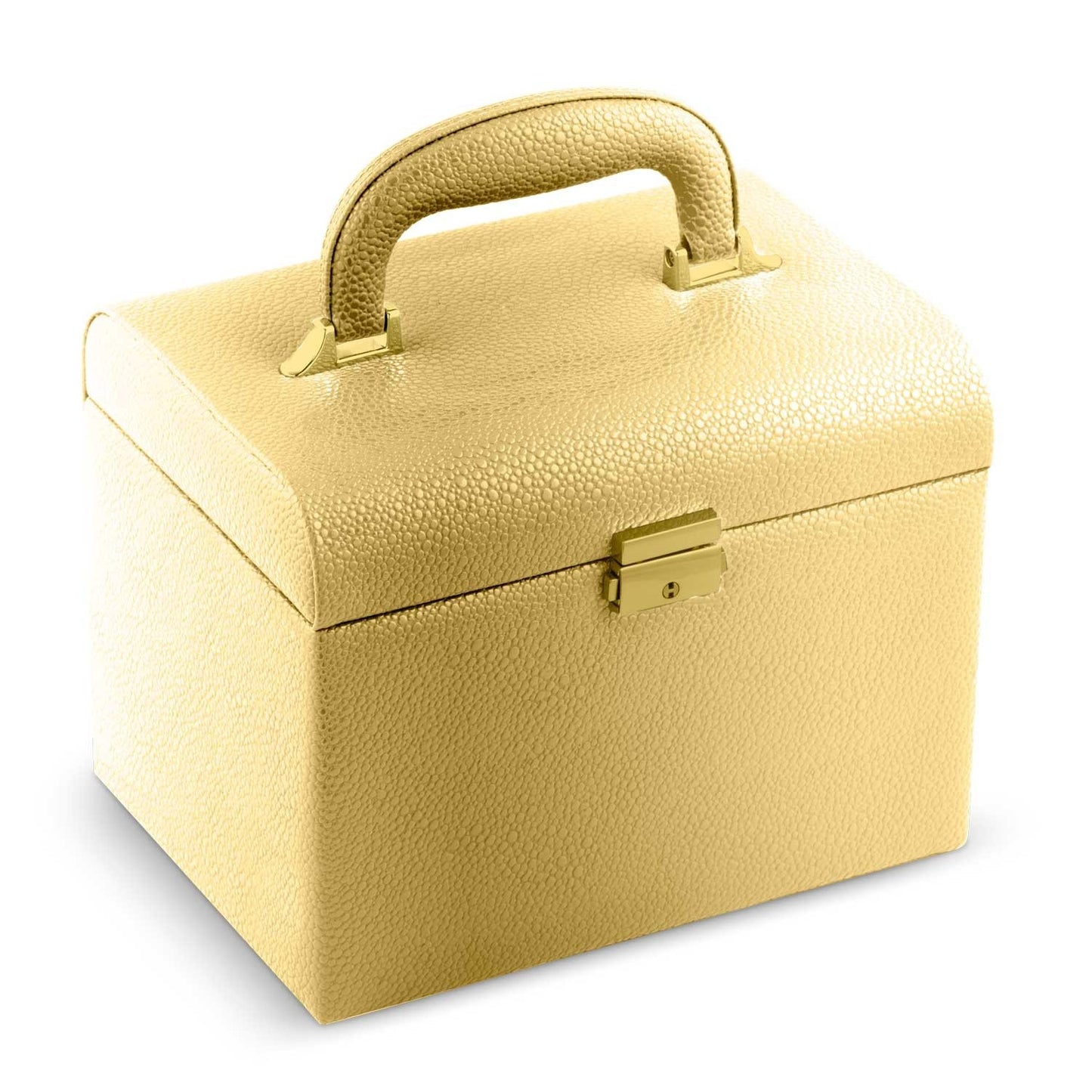 Elegant Gold Cosmetic Case Massido MS-706