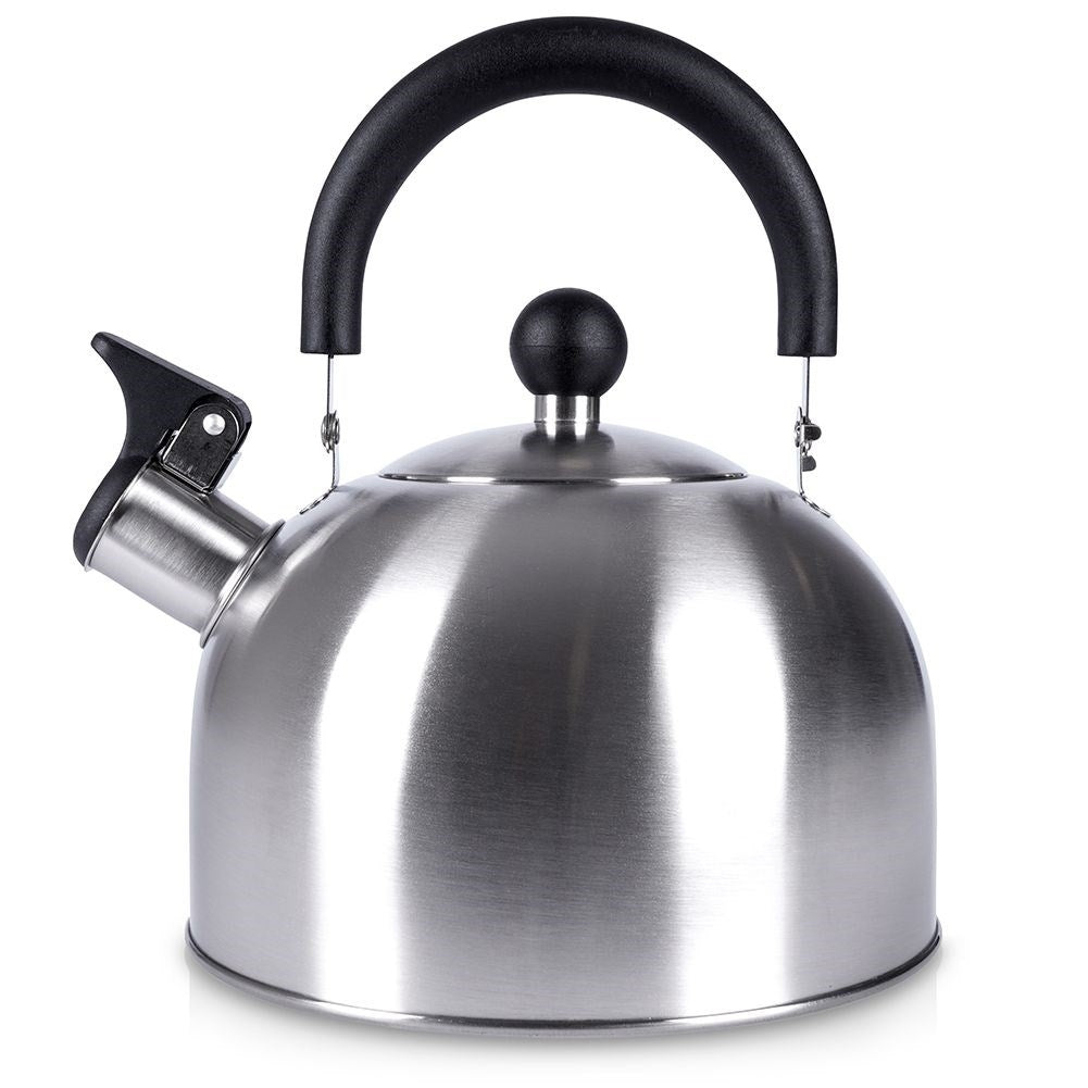 Elegant Kettle for All Stoves