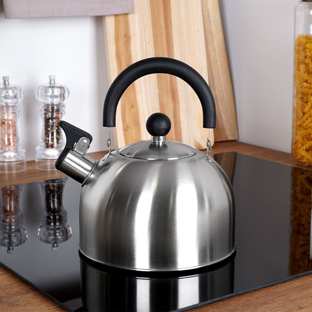 Elegant Kettle for All Stoves