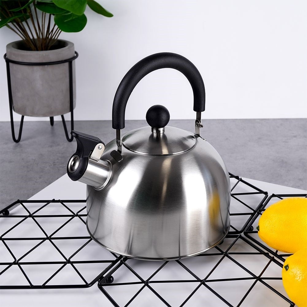Elegant Kettle for All Stoves