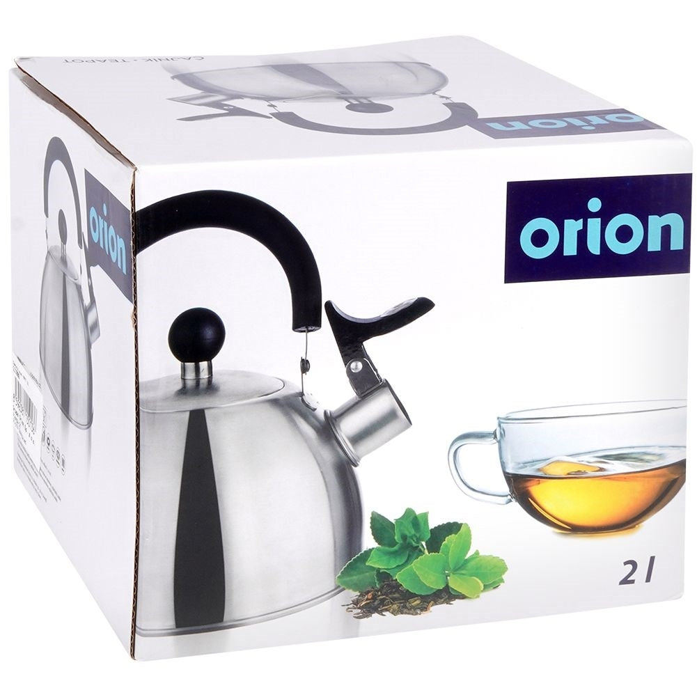 Elegant Kettle for All Stoves