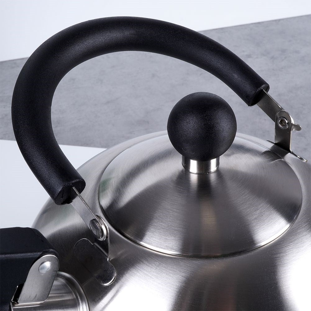 Elegant Kettle for All Stoves