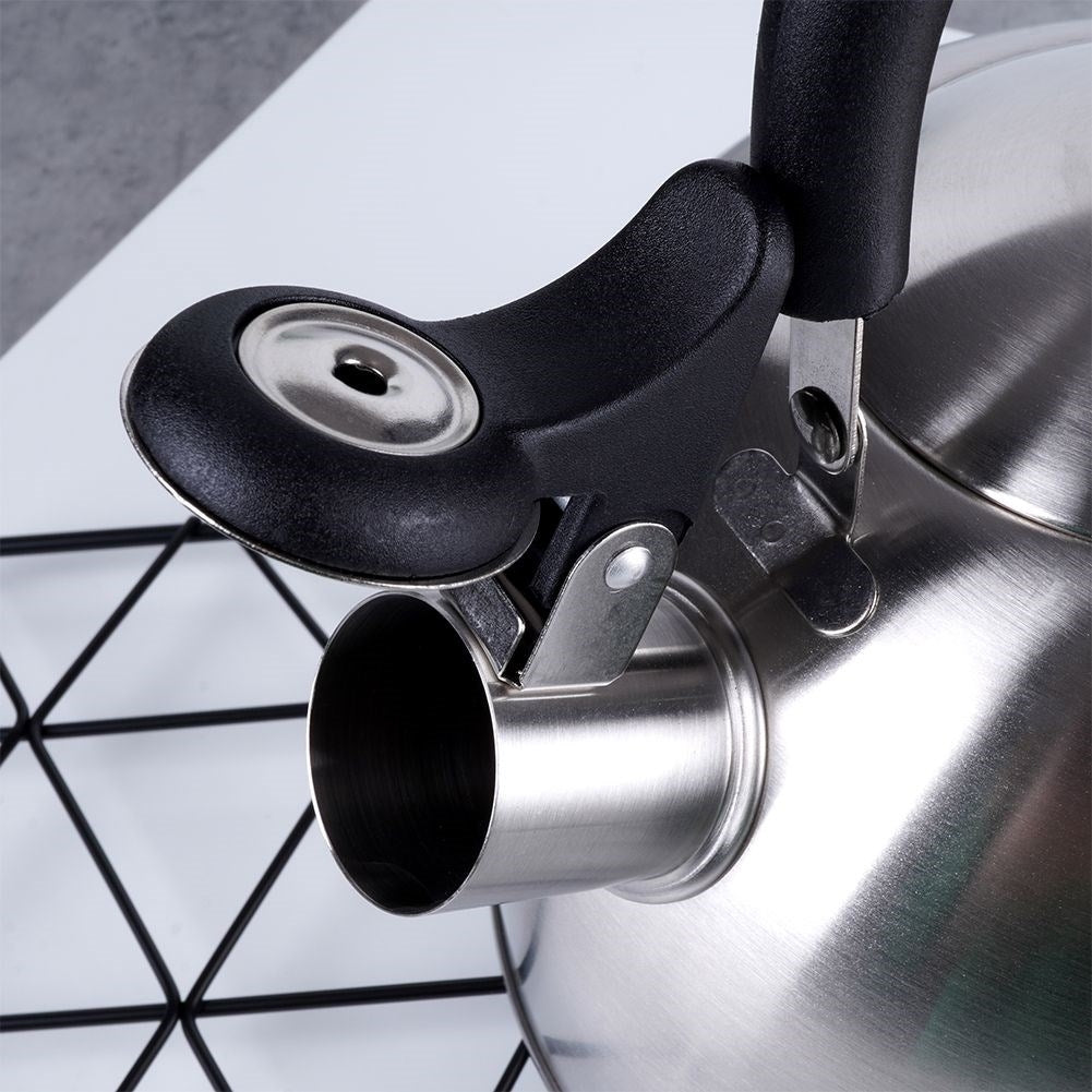 Elegant Kettle for All Stoves