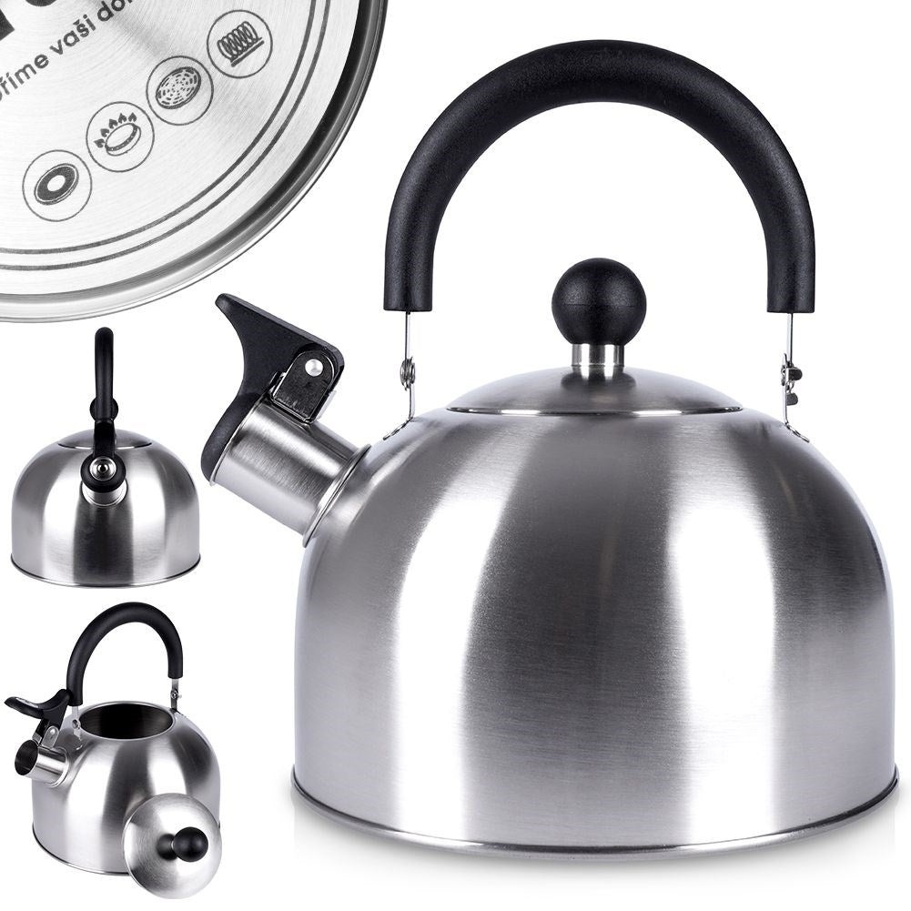 Elegant Kettle for All Stoves