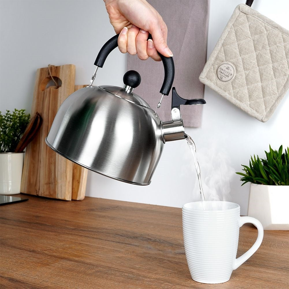 Elegant Kettle for All Stoves