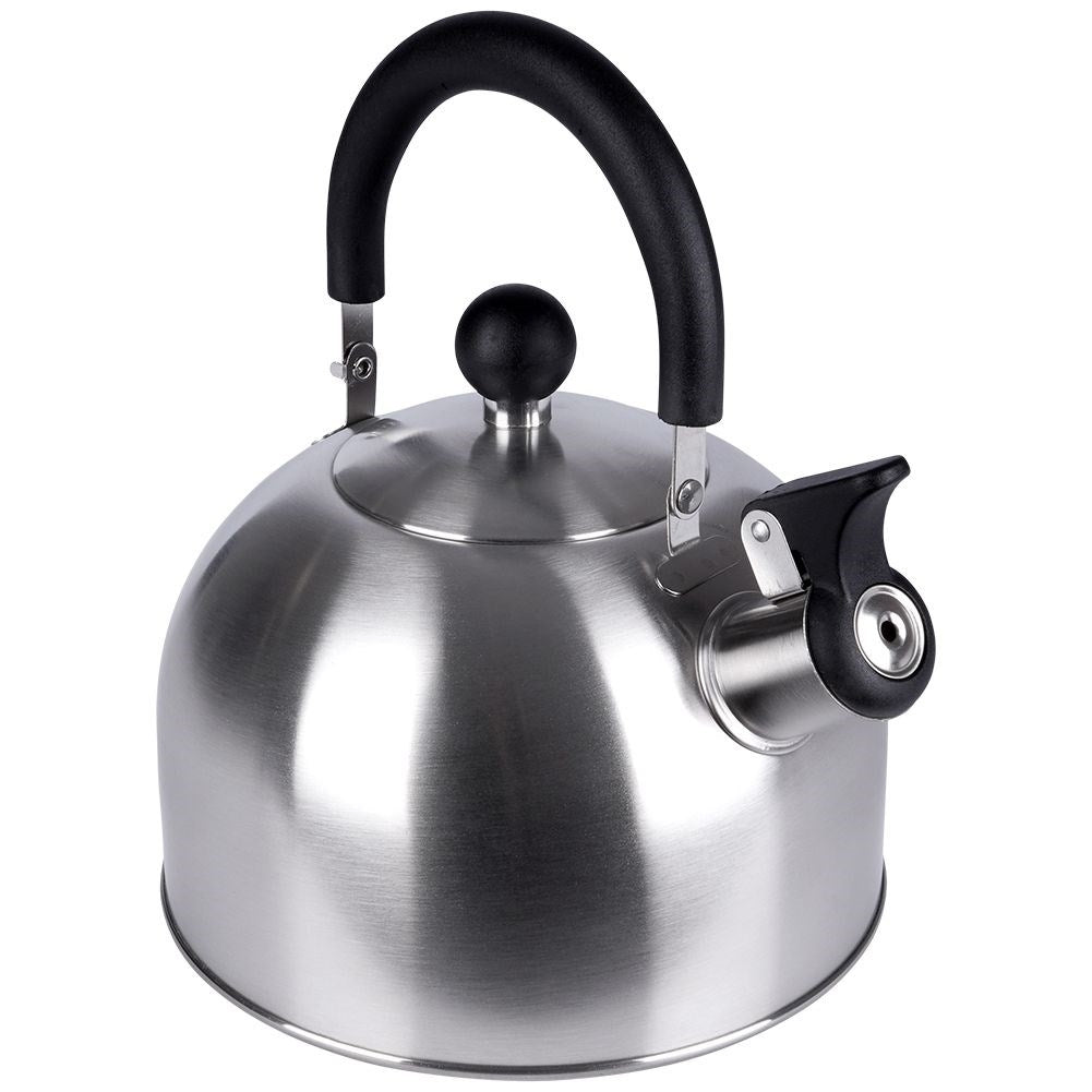 Elegant Kettle for All Stoves