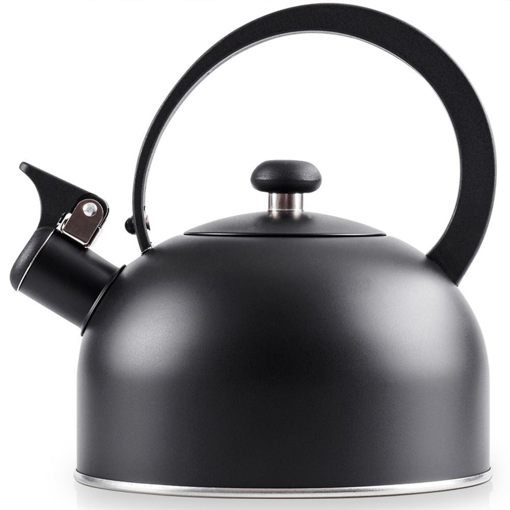 Elegant Kettle in Matt Black Stainless Steel