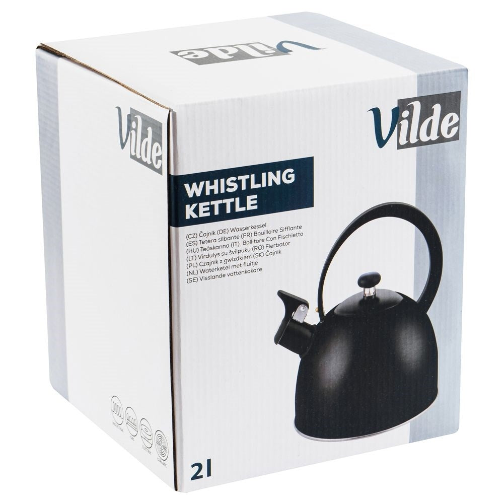 Elegant Kettle in Matt Black Stainless Steel