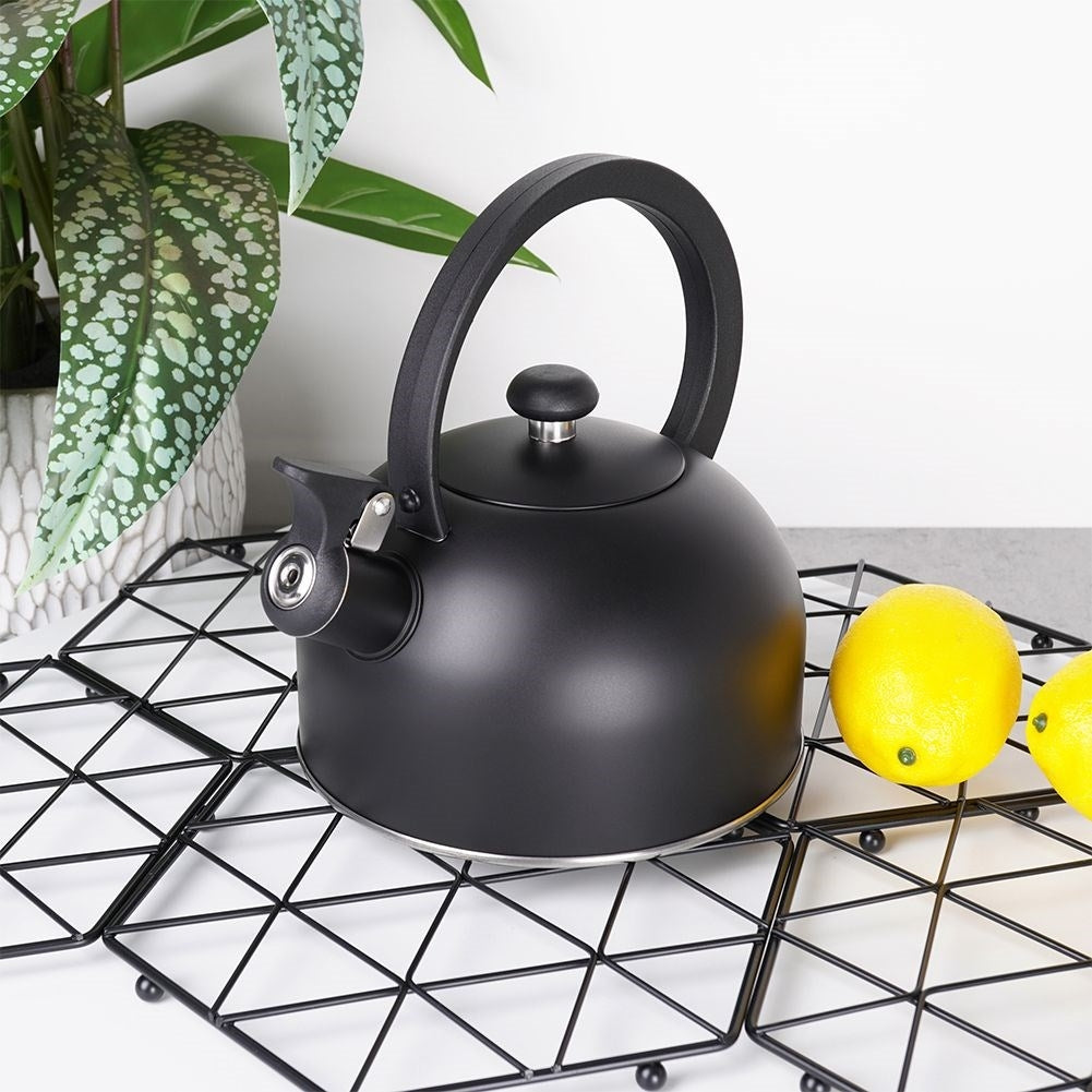 Elegant Kettle in Matt Black Stainless Steel