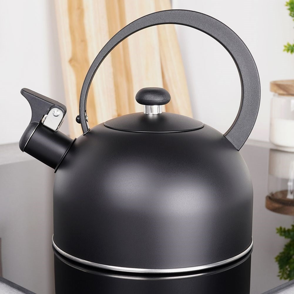 Elegant Kettle in Matt Black Stainless Steel