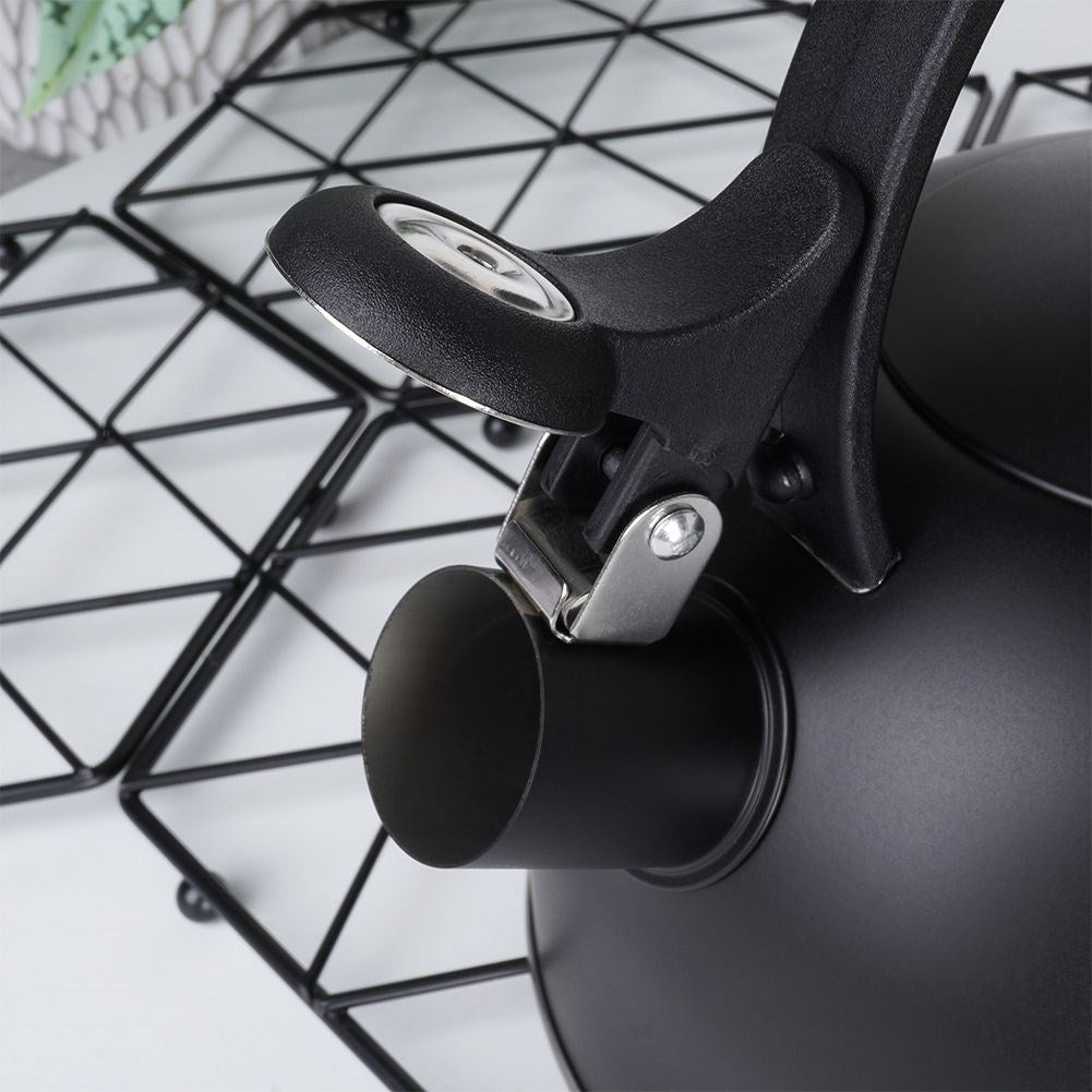 Elegant Kettle in Matt Black Stainless Steel