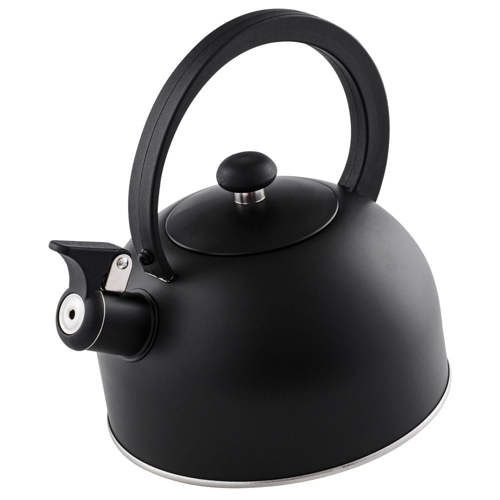 Elegant Kettle in Matt Black Stainless Steel