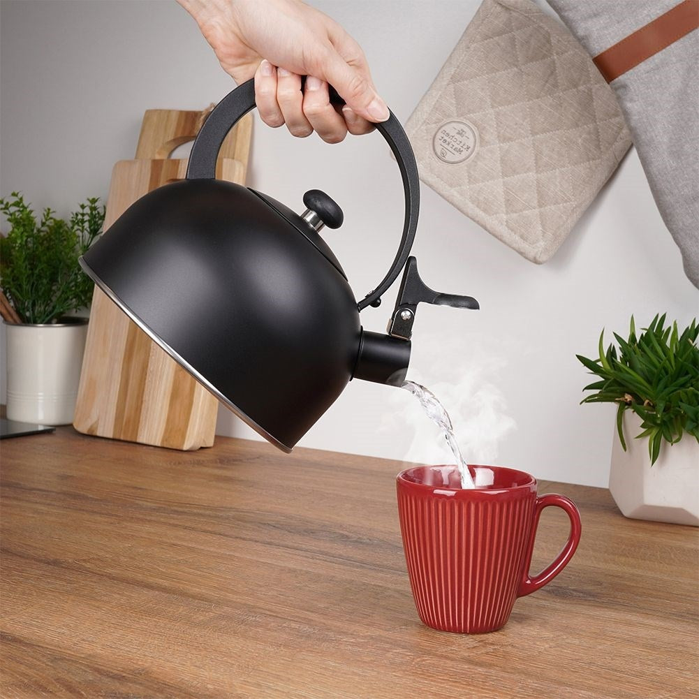 Elegant Kettle in Matt Black Stainless Steel