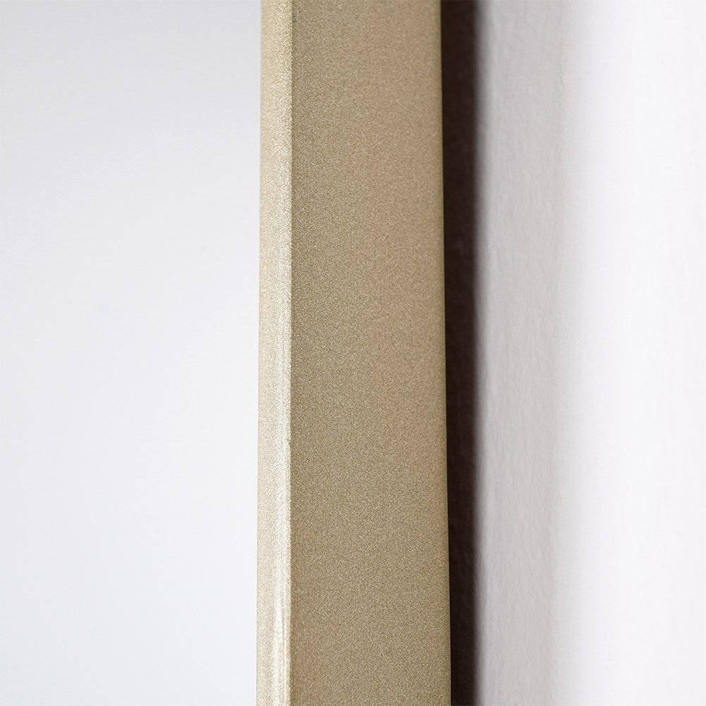 Elegant Wall Mirror with Curved Top and Champagne-Gold Frame