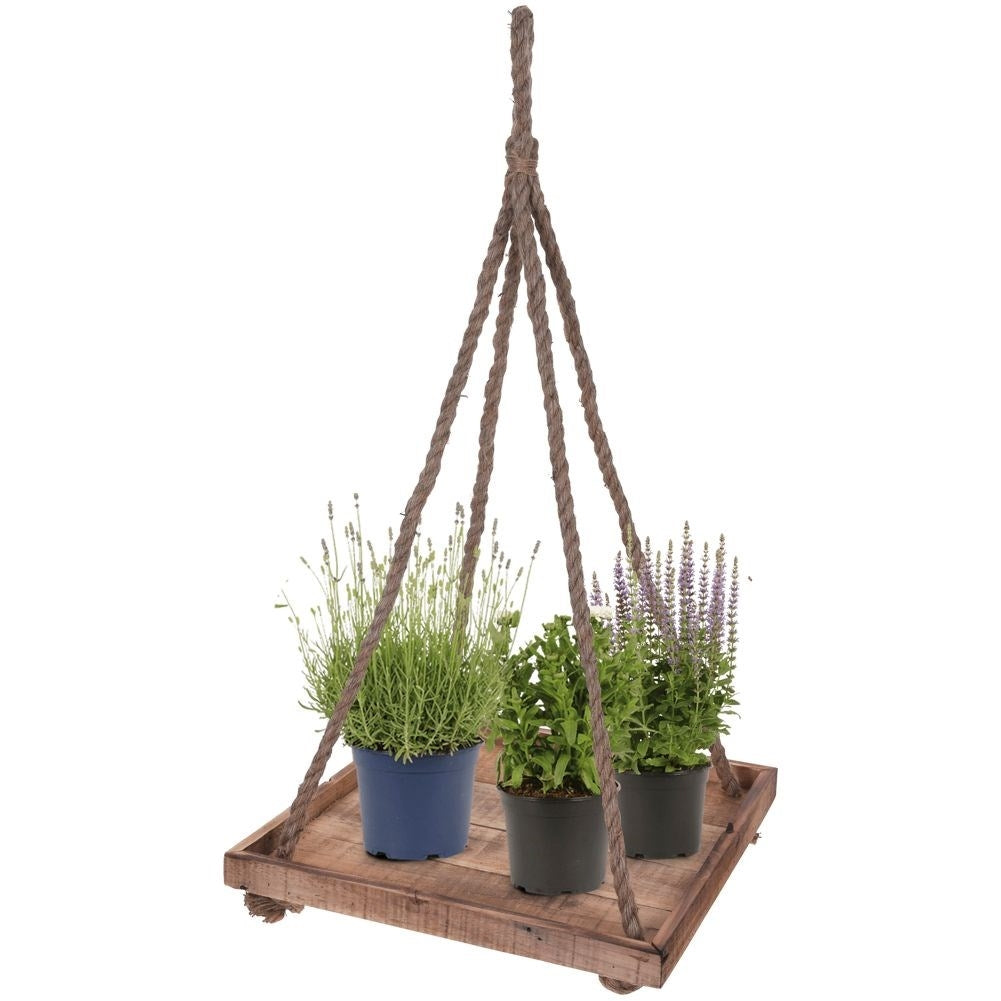 Elegant flower pot made of recycled wood with sturdy rope