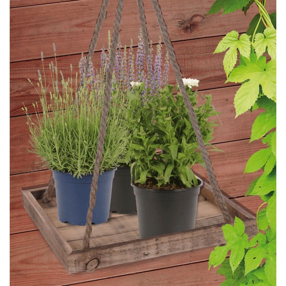 Elegant flower pot made of recycled wood with sturdy rope