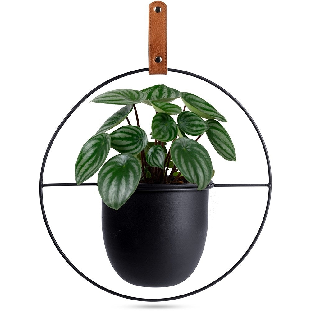Elegant hanging pot in black metal with leather strap for indoors