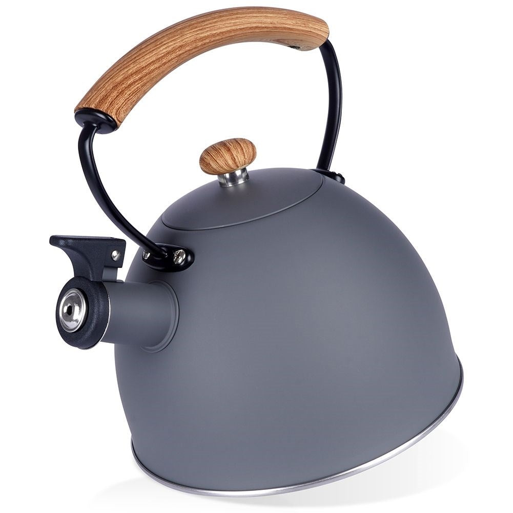 Elegant kettle in matt gray with wooden design handle