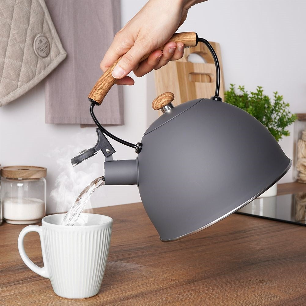 Elegant kettle in matt gray with wooden design handle