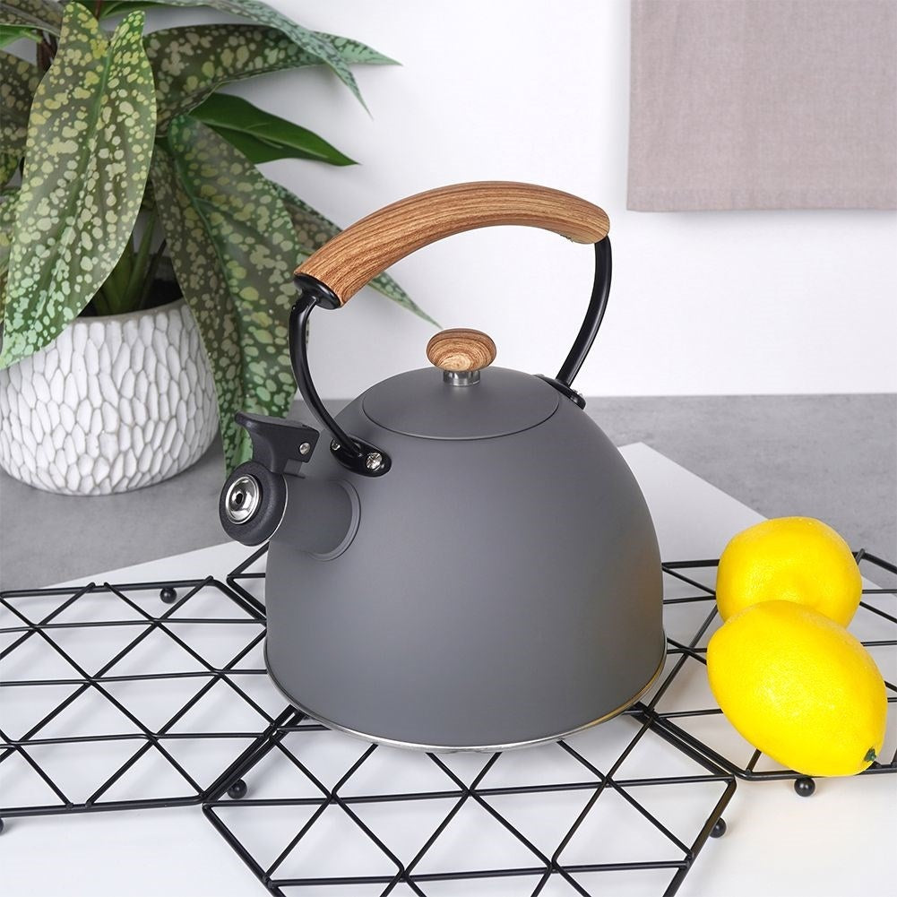 Elegant kettle in matt gray with wooden design handle