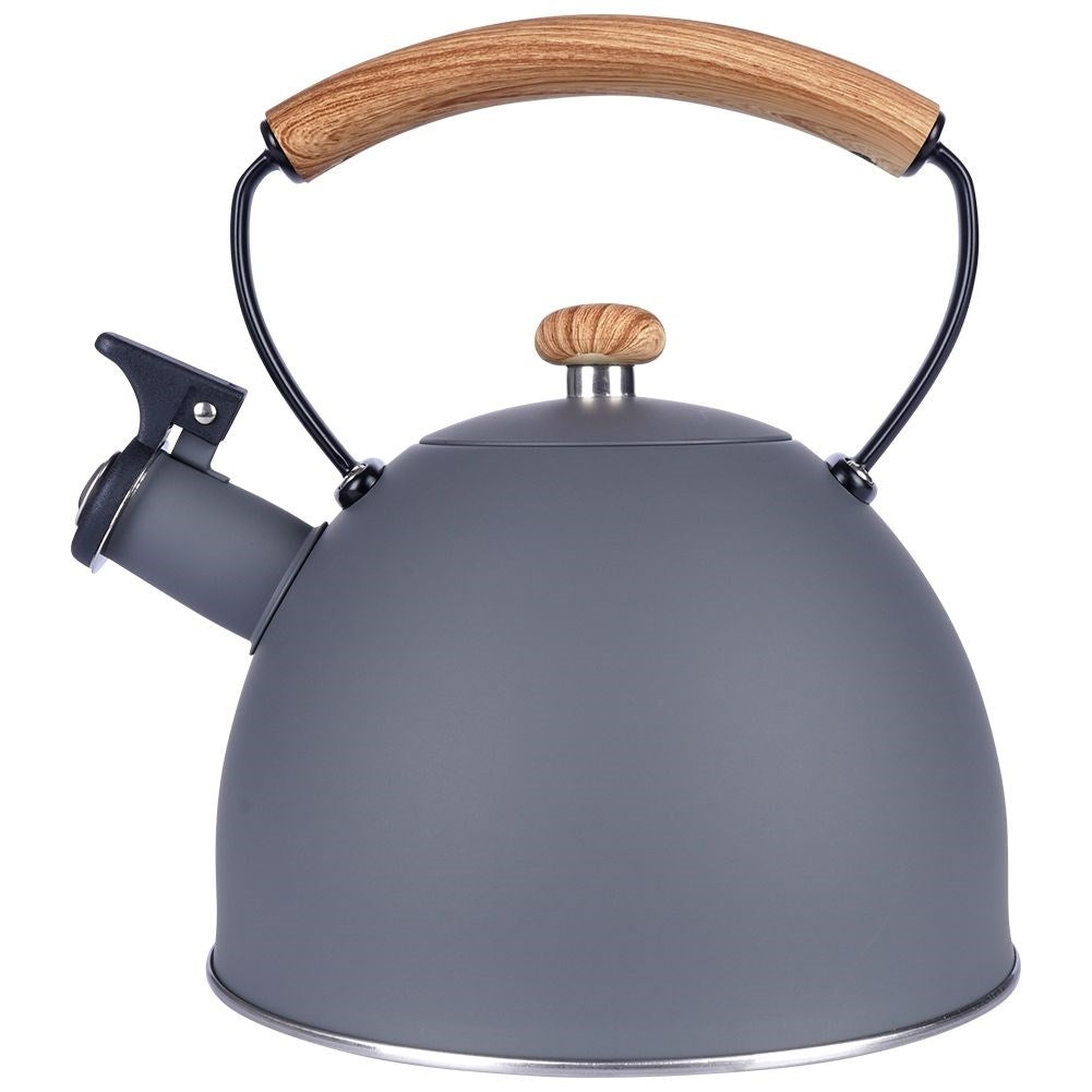 Elegant kettle in matt gray with wooden design handle