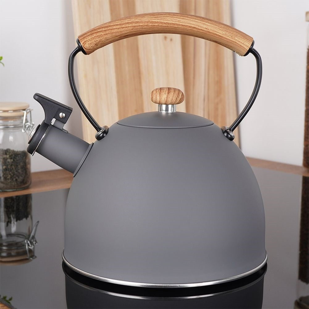 Elegant kettle in matt gray with wooden design handle