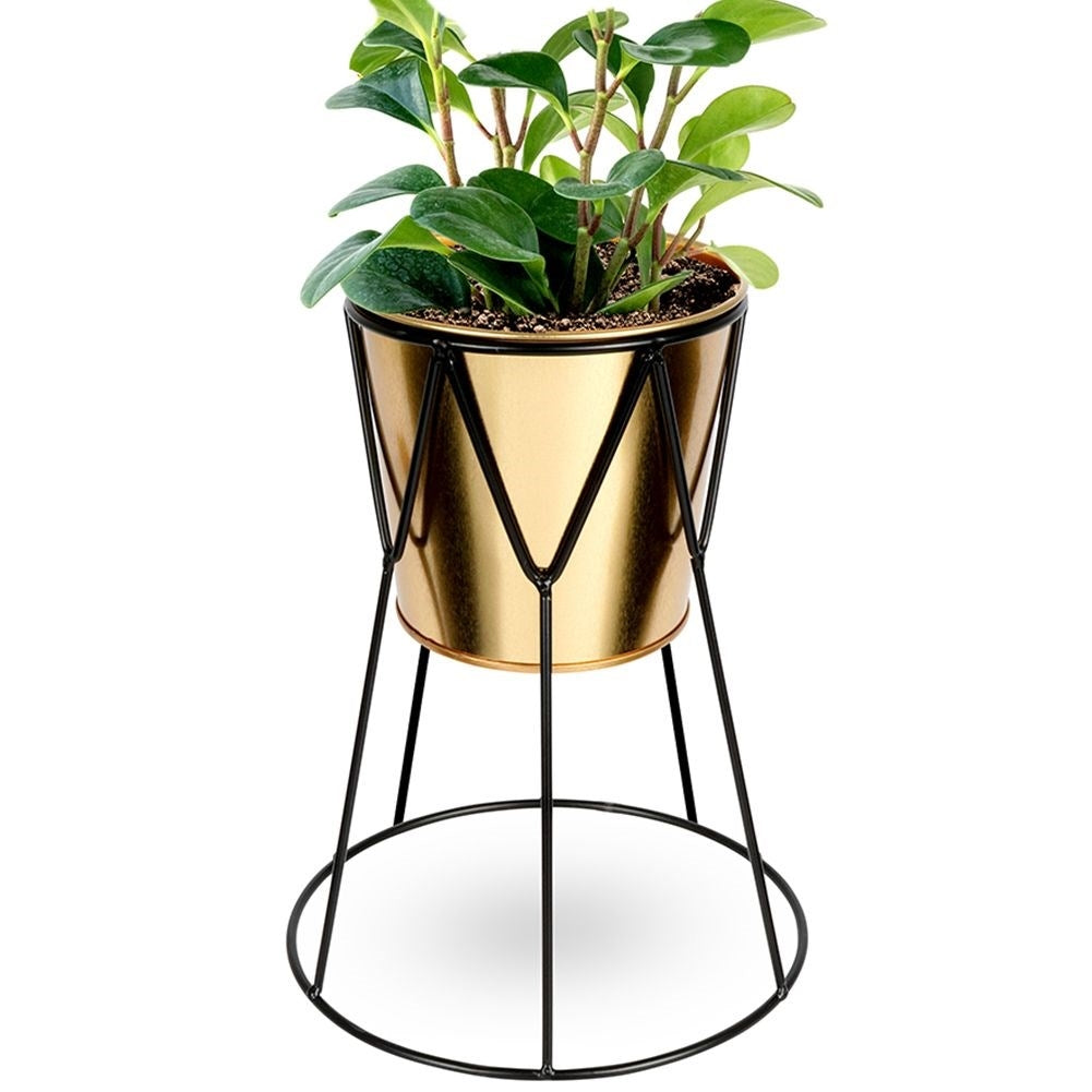 Elegant pot in gold with stylish black metal stand