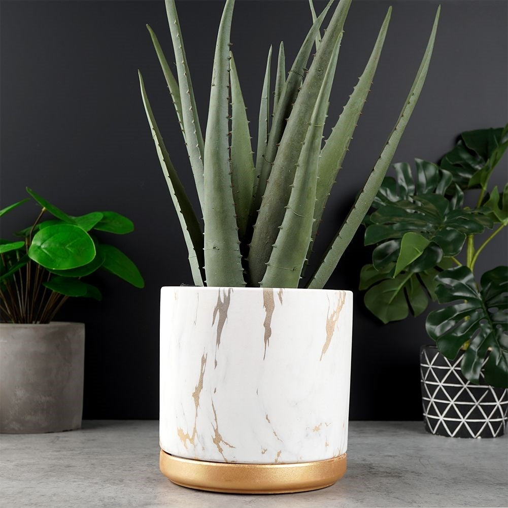 Elegant pot with saucer in marble style, white ceramic, gilded details
