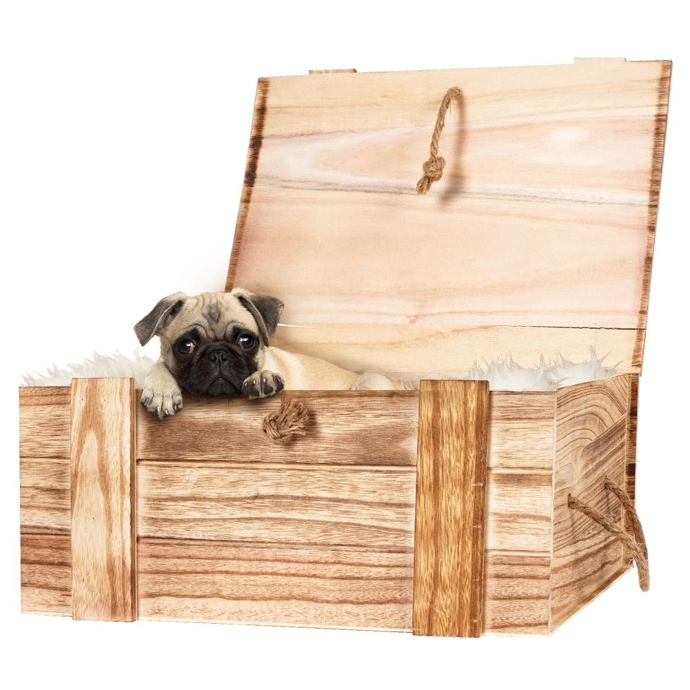 Elegant storage box in light paulownia wood, perfect gift