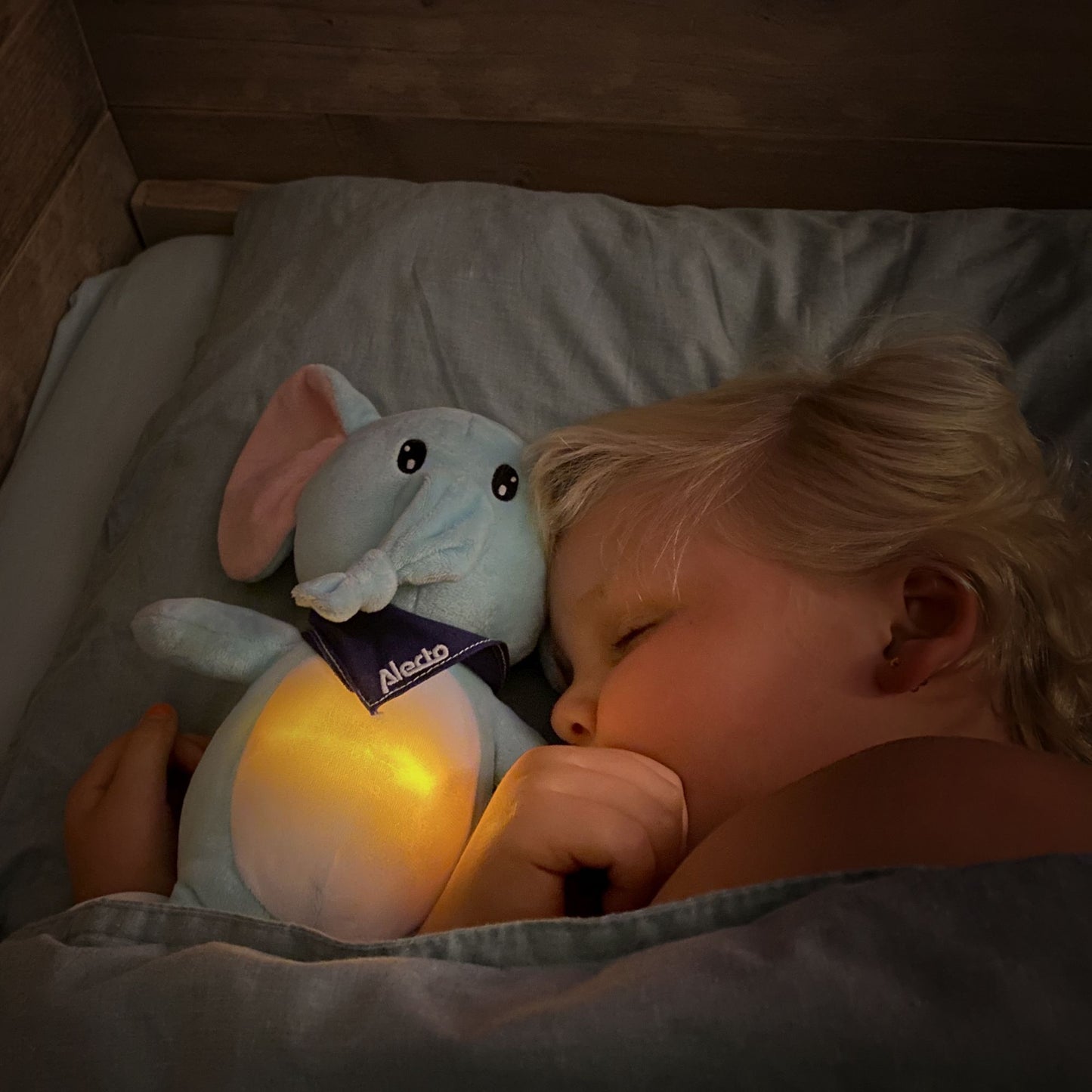 Elephant Plush with Night Light and Soothing Sounds