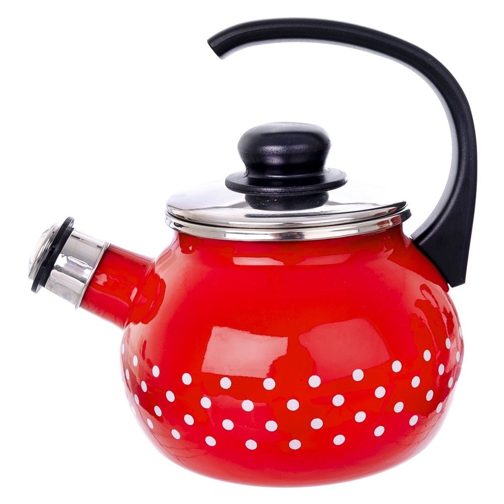 Enameled Steel Kettle - Fits All Stoves