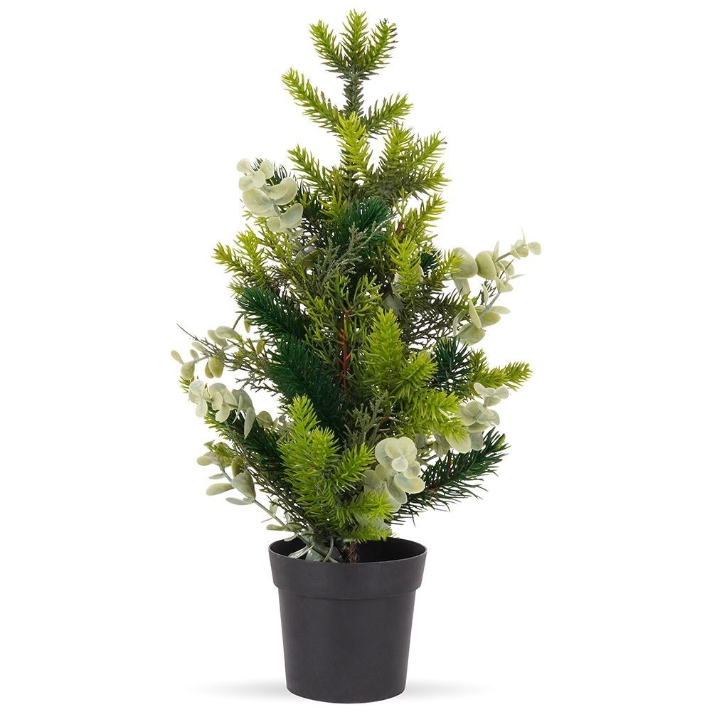 Eucalyptus Christmas Tree in Black Pot - 45 cm High