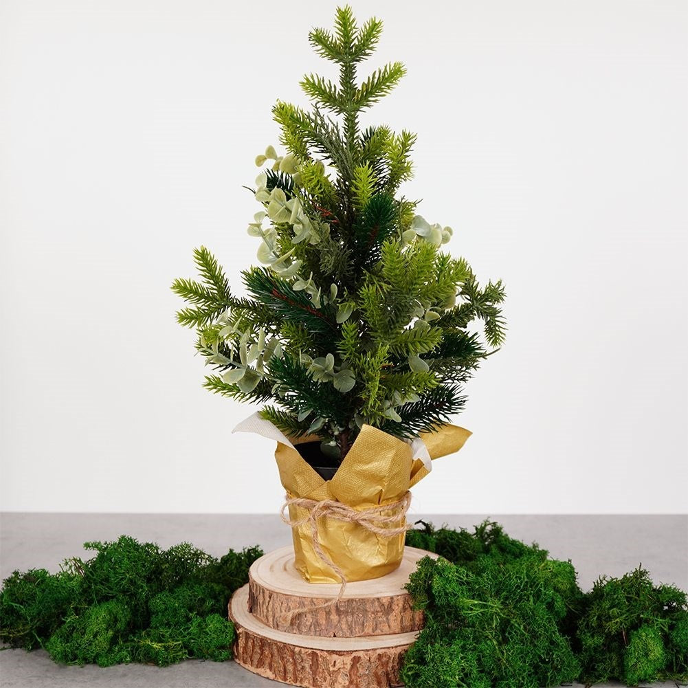 Eucalyptus Christmas Tree in Black Pot - 45 cm High